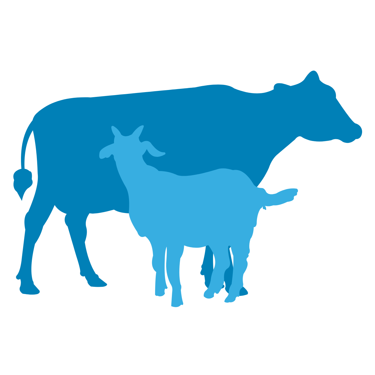 Layanan Icon